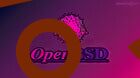 encoding supports